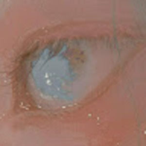 Meet your Posher, Zoey